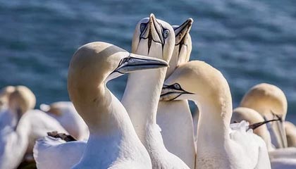 爱游戏APP-比利亚雷亚尔客场告捷，取得宝贵三分，比利亚雷亚尔强吗