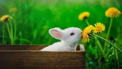 爱游戏体育app下载-摩纳哥后防线再添新分，球队稳扎稳打期待更上一层楼，摩纳哥球队是哪个国家