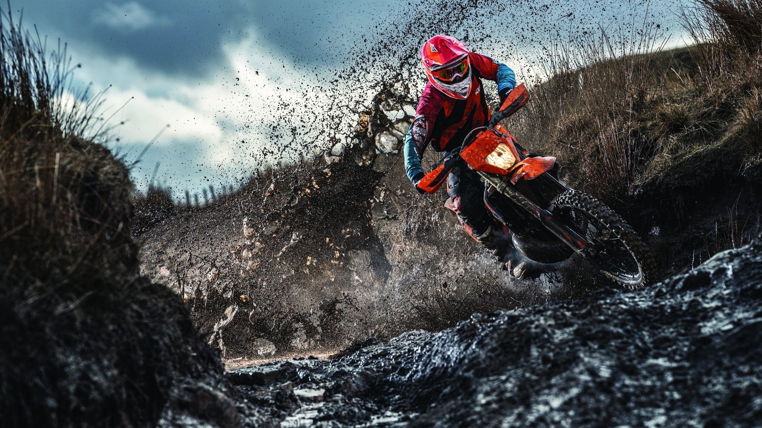 克罗地亚骑手吉塔·日特科维奇在2024年国际马术联合会世界障碍赛中获得第八名，展现坚韧精神。