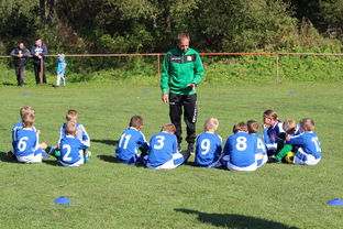 ayx-欧洲杯逆转奇迹：战术配合与个人能力的完美呈现，欧洲杯逆天进球